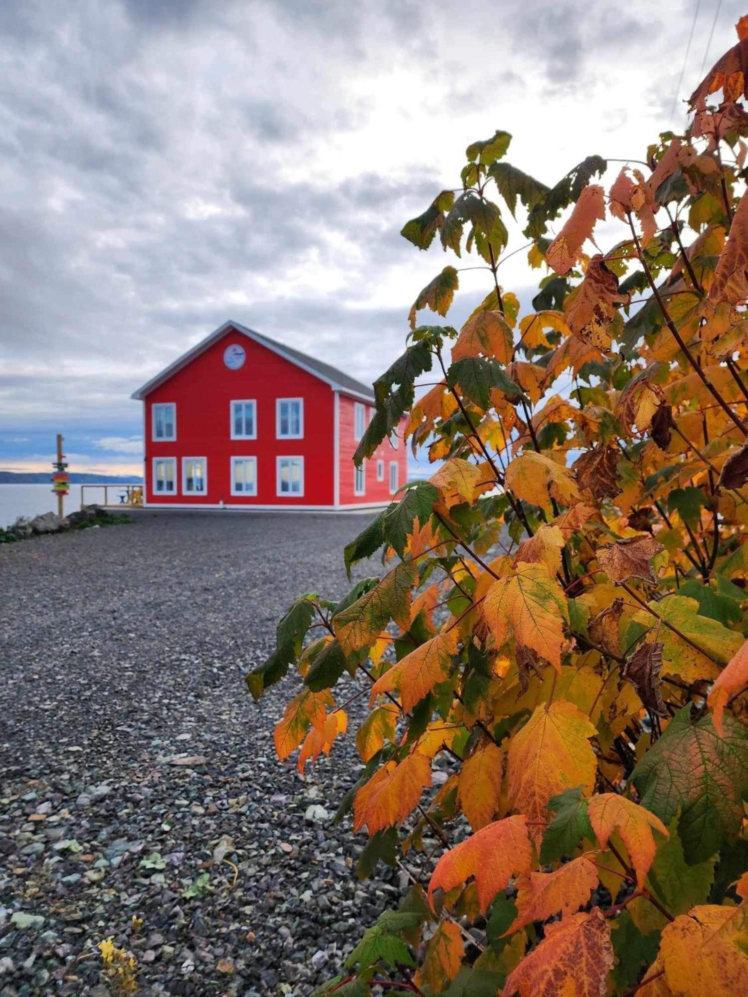 The View Suites And Breakfast In Triton, Newfoundland Pilley's Island Exterior photo