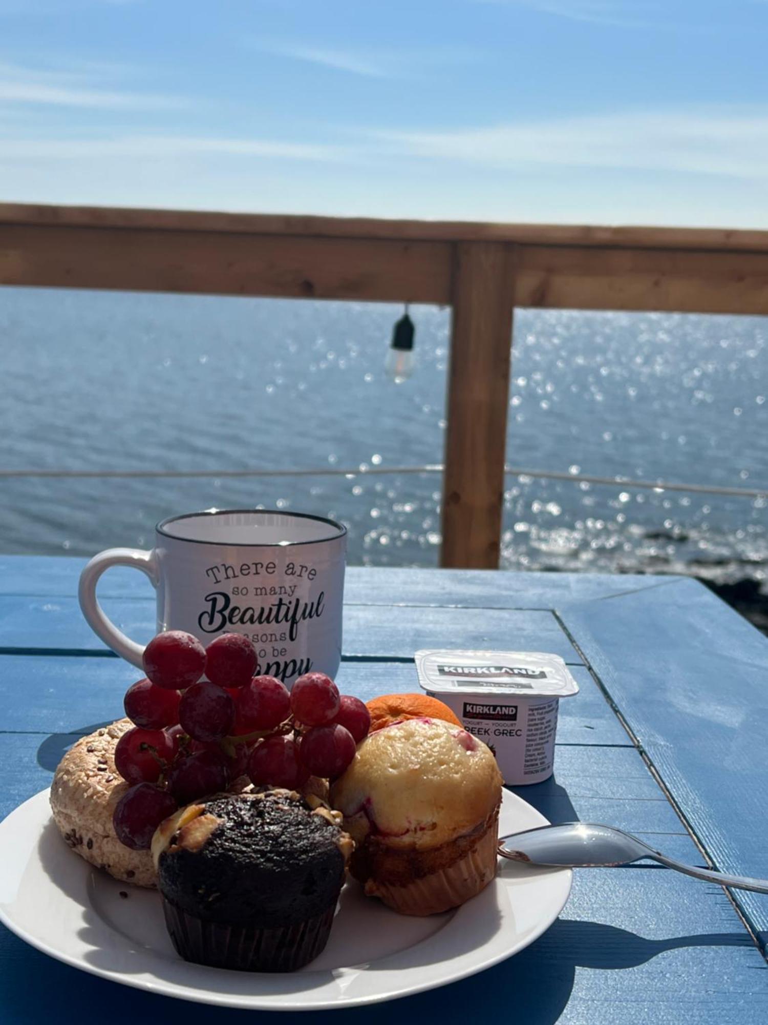 The View Suites And Breakfast In Triton, Newfoundland Pilley's Island Exterior photo