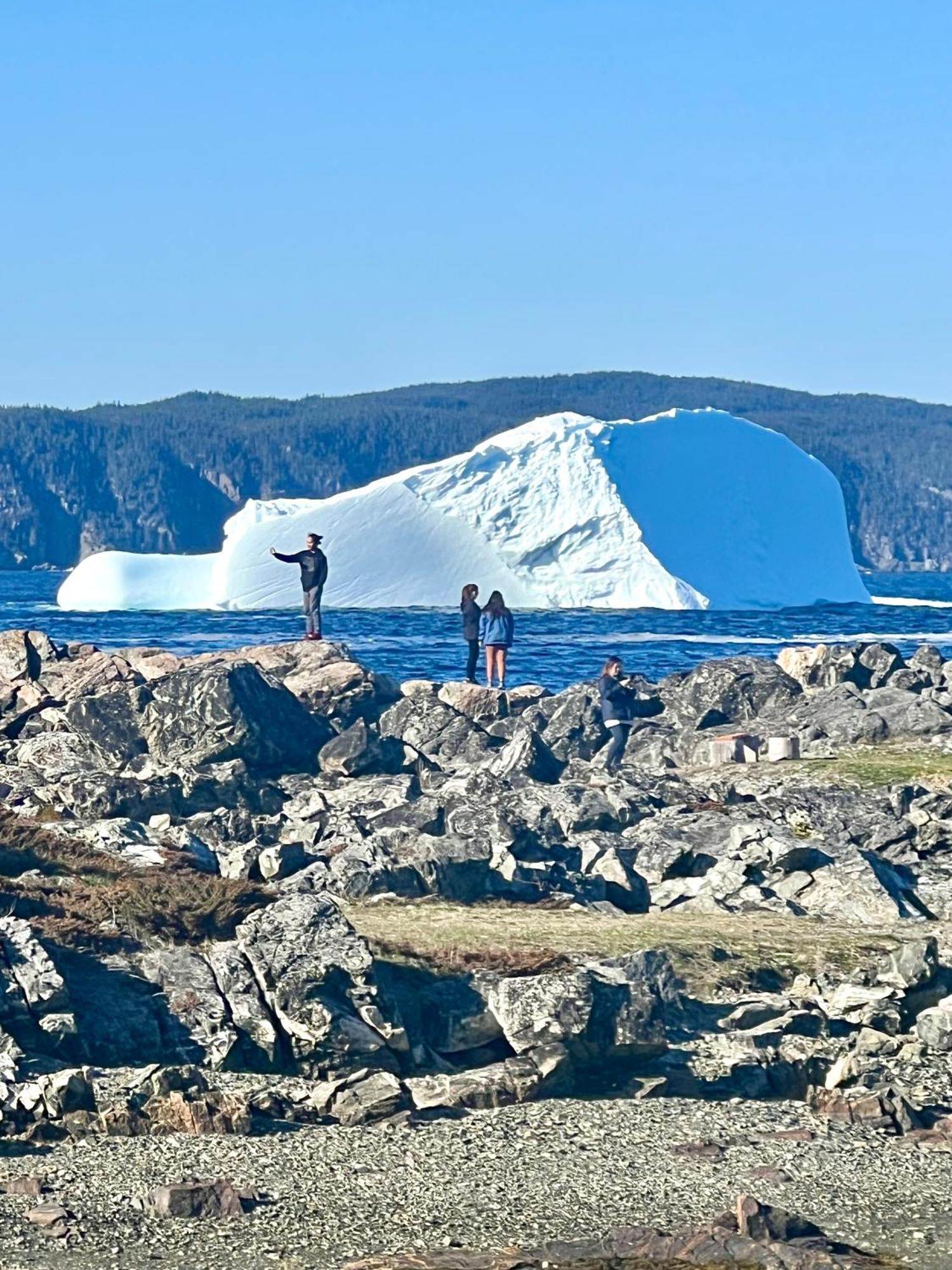 The View Suites And Breakfast In Triton, Newfoundland Pilley's Island Exterior photo