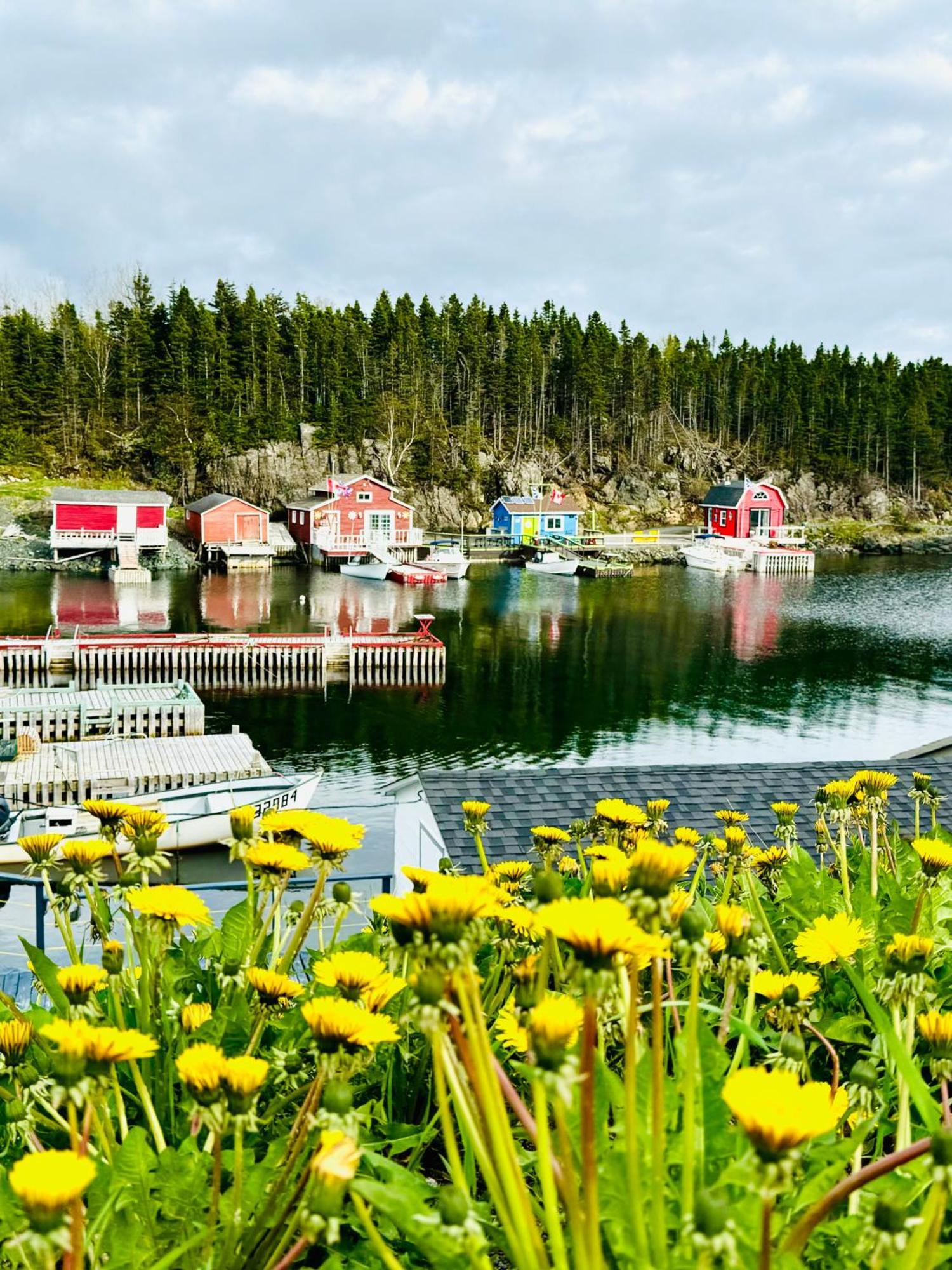 The View Suites And Breakfast In Triton, Newfoundland Pilley's Island Exterior photo