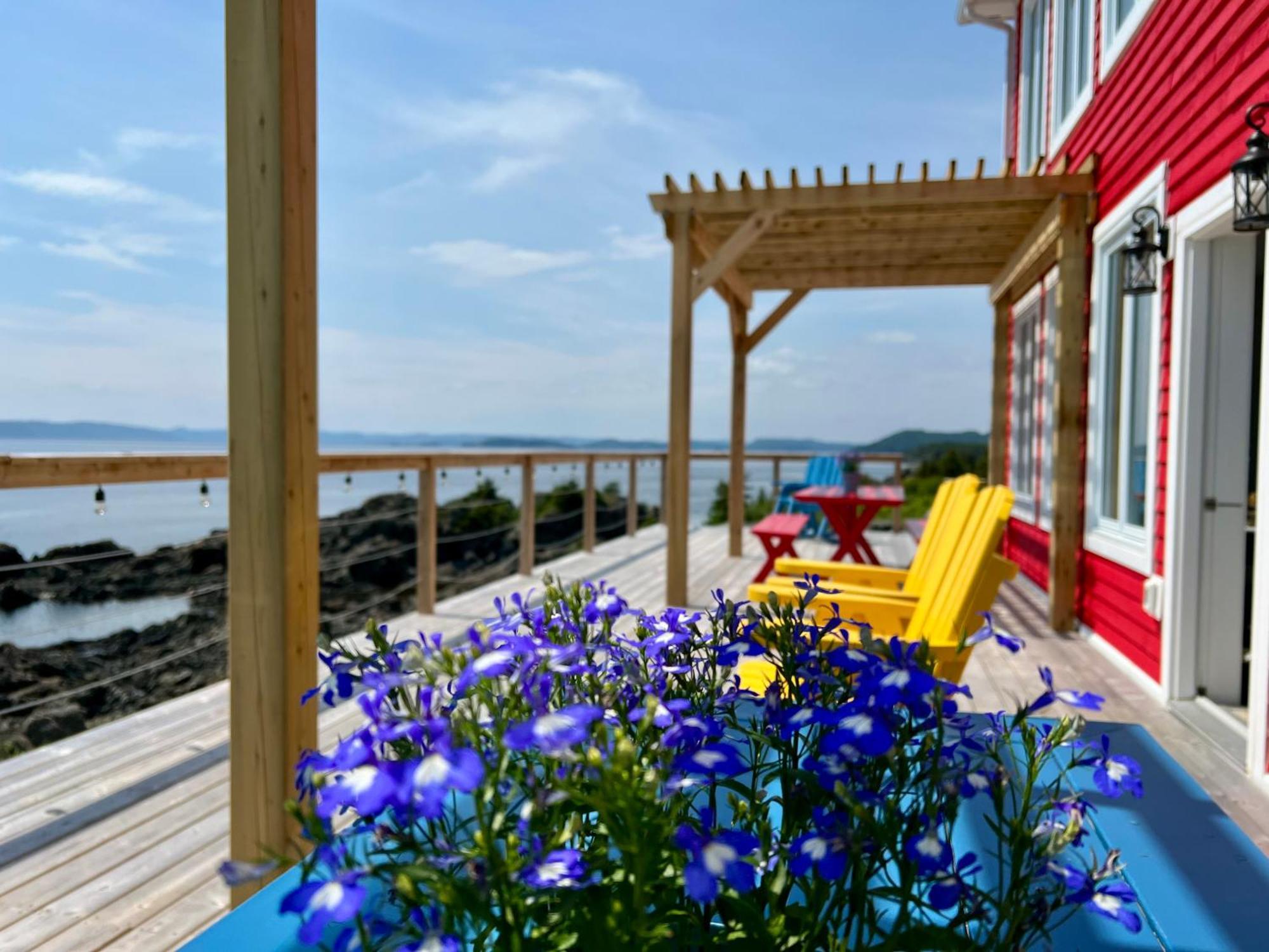 The View Suites And Breakfast In Triton, Newfoundland Pilley's Island Exterior photo